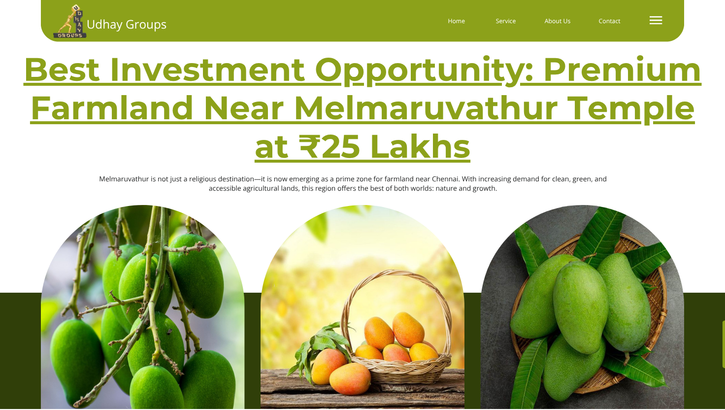 Mango farmland near Melmaruvathur temple – best investment near Chennai
