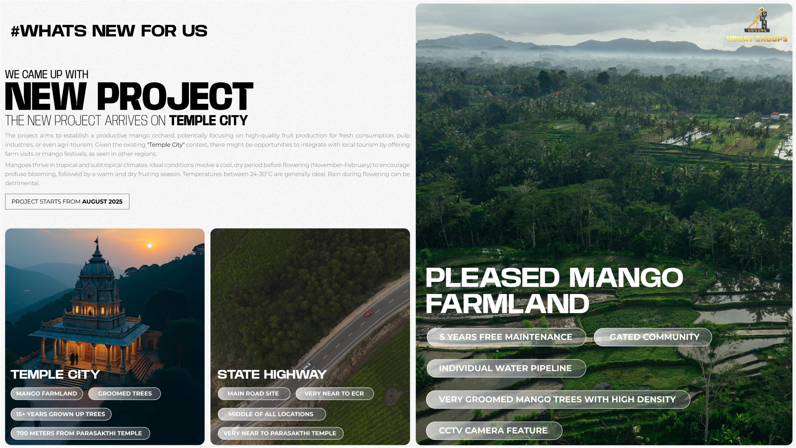 Mango Farmland in Melmaruvathur by Udhay Groups – On-Main Road Site