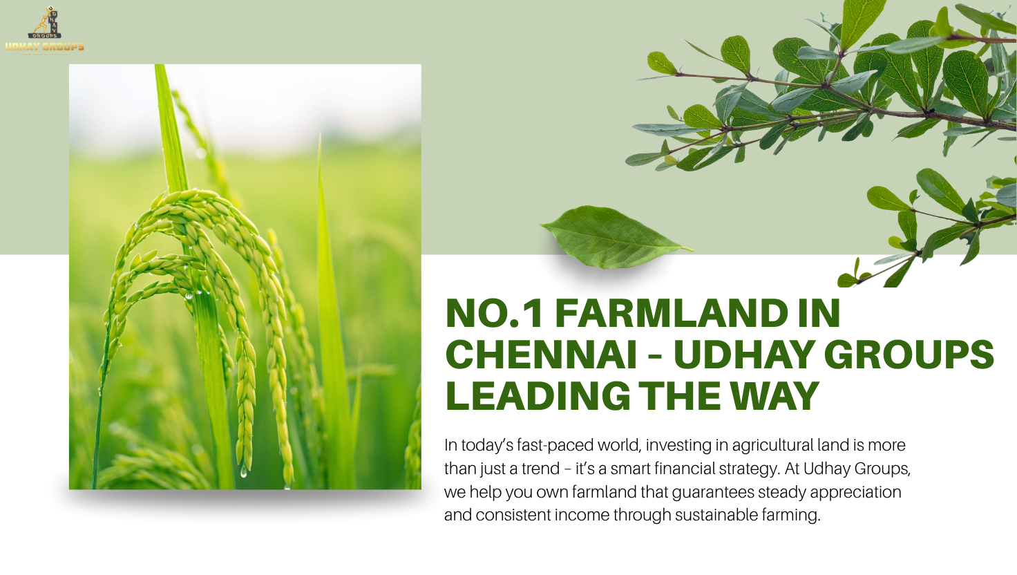 NO.1 Farmland in Chennai by Udhay Groups – Mango Plantation