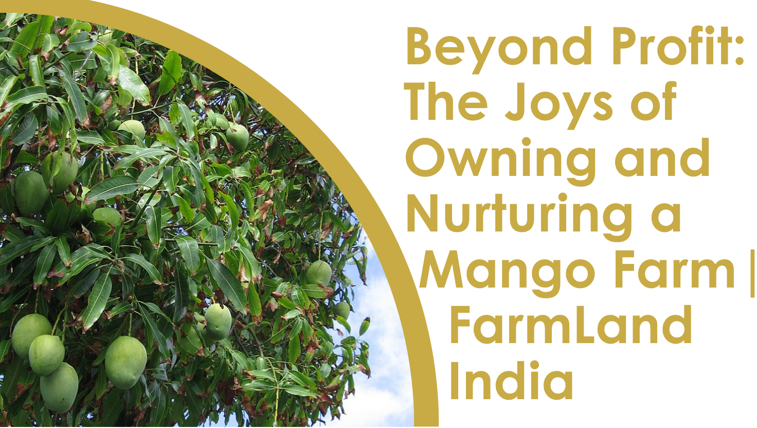 Happy family spending time on their mango farm land near Chennai
