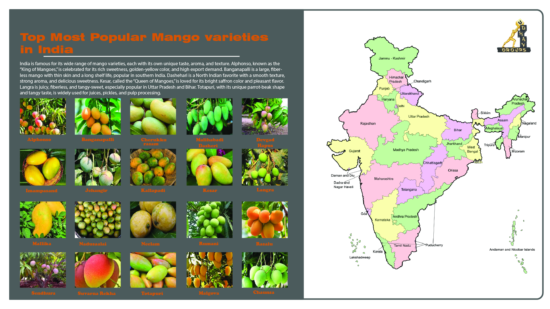 Top Most Popular Mango Varieties in India