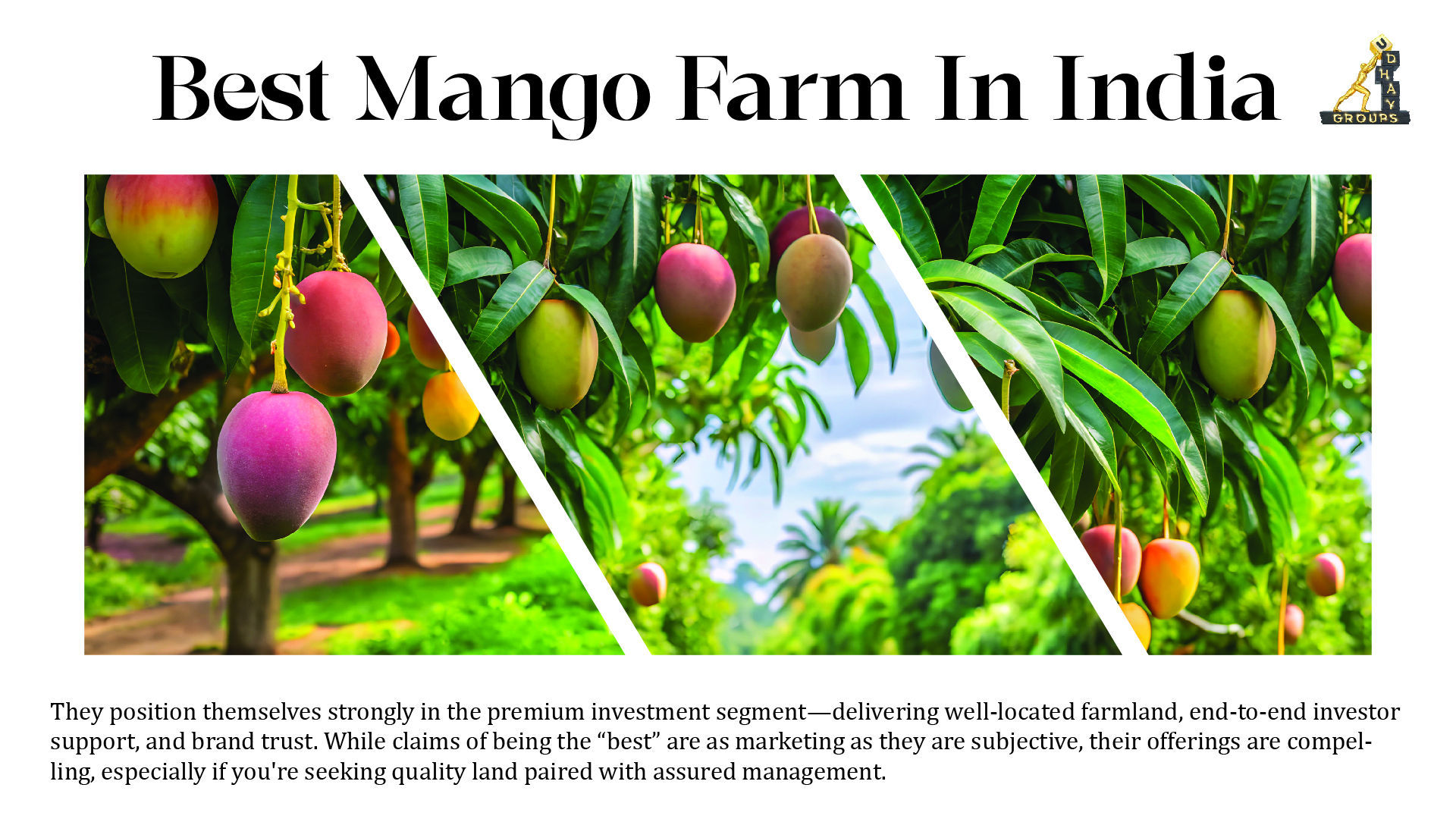 Best Mango Farm in India – Udhay Groups