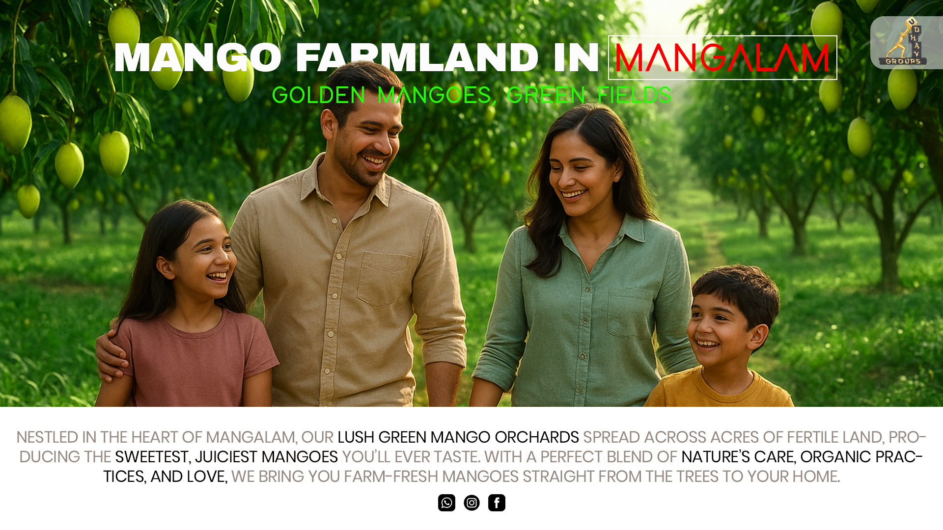 Mango farmland in Mangalam for sale – Udhay Groups